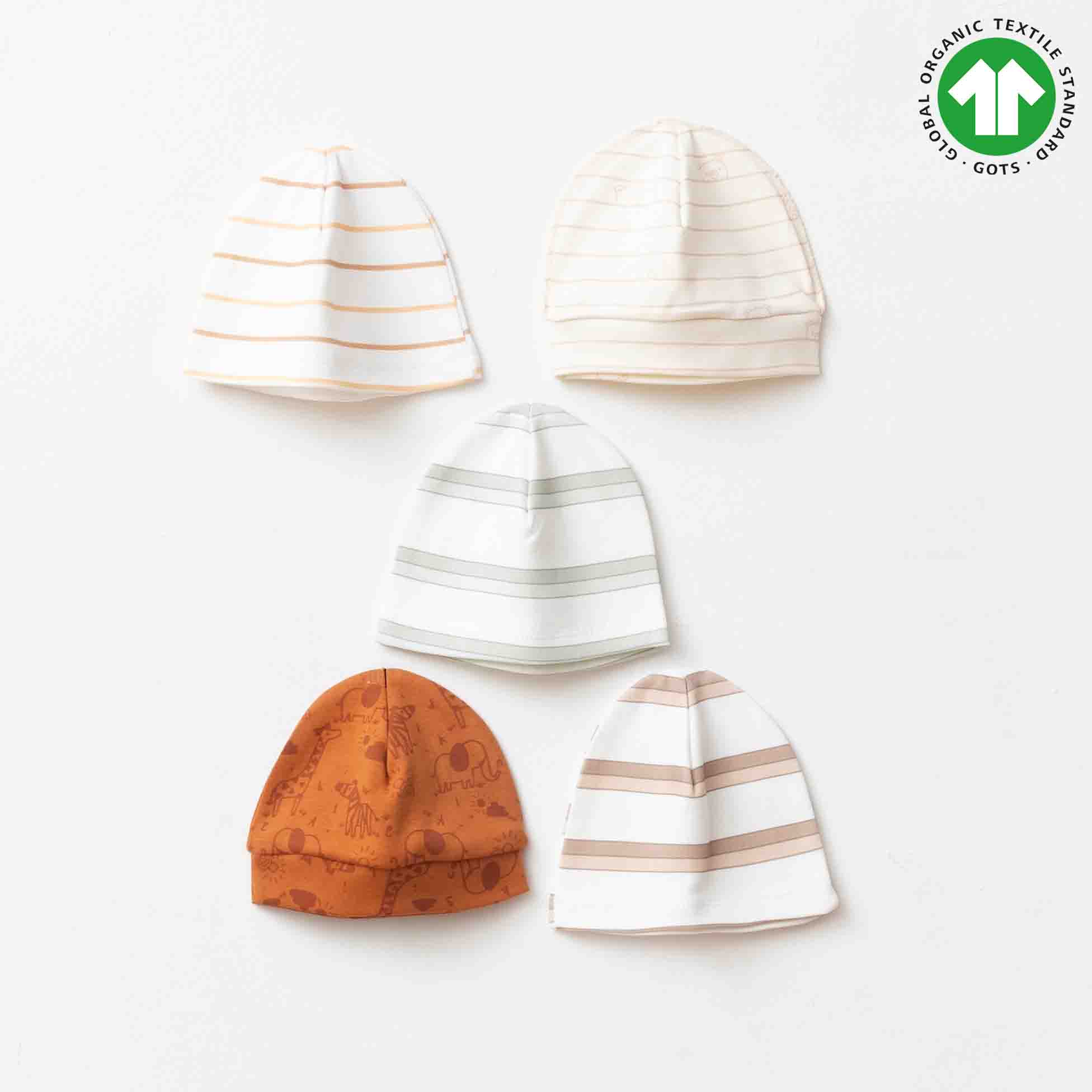 ESL-2286 ORGANİK 5Lİ PAKET